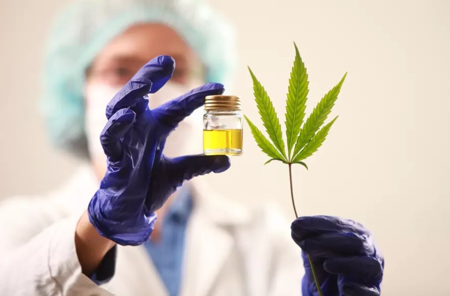 2021 : les laboratoires Boiron de Lyon vont bientôt participer à l’expérimentation sur le cannabis thérapeutique