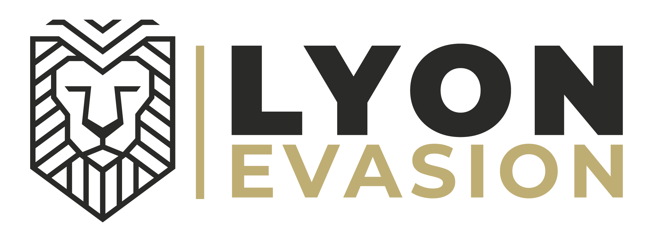 logo-lyon-evasion