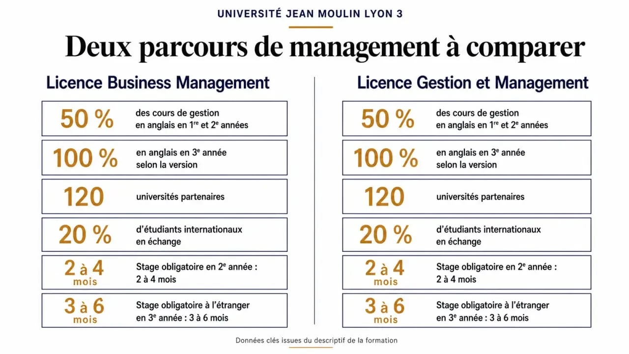 Business management Lyon 3 : comparaison visuelle entre la Licence Business Management et la Licence Gestion et Management à l’iaelyon